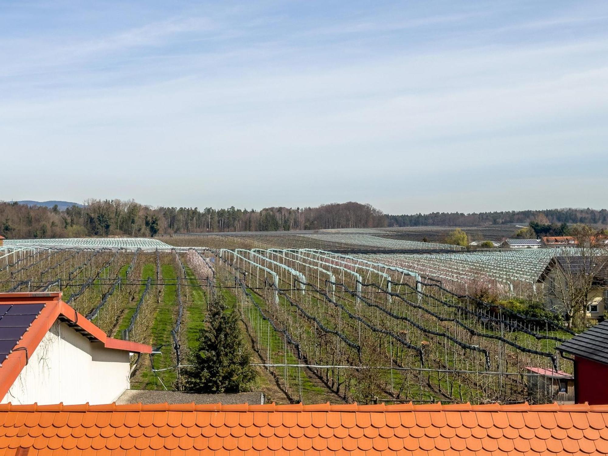 Obst- Ferienhof Ragg Immenstaad am Bodensee Bagian luar foto